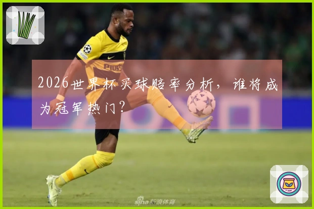 2026世界杯买球赔率分析，谁将成为冠军热门？