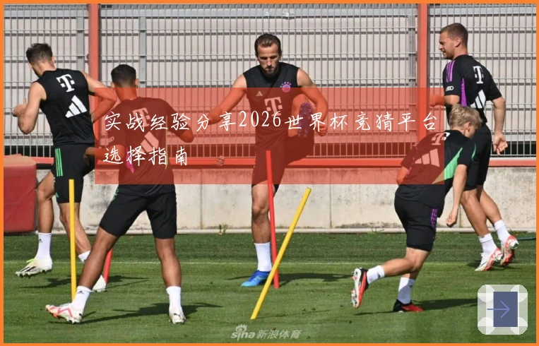 实战经验分享2026世界杯竞猜平台选择指南