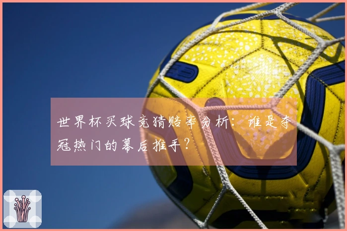 世界杯买球竞猜赔率分析：谁是夺冠热门的幕后推手？
