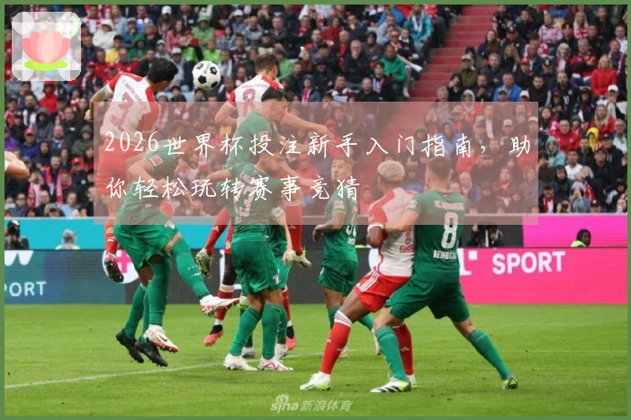 2026世界杯投注新手入门指南，助你轻松玩转赛事竞猜