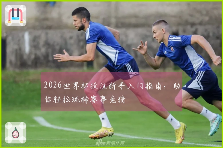 2026世界杯投注新手入门指南，助你轻松玩转赛事竞猜